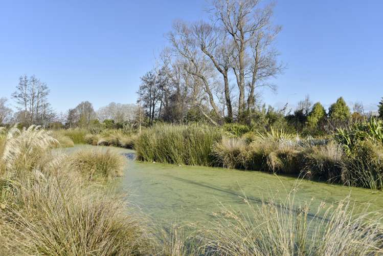 20 Borderdale Street Belfast_21