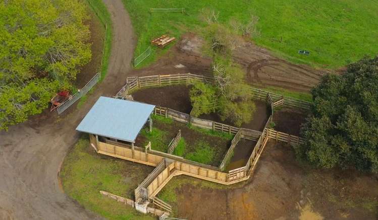 44 Wallace Road Temple View_10