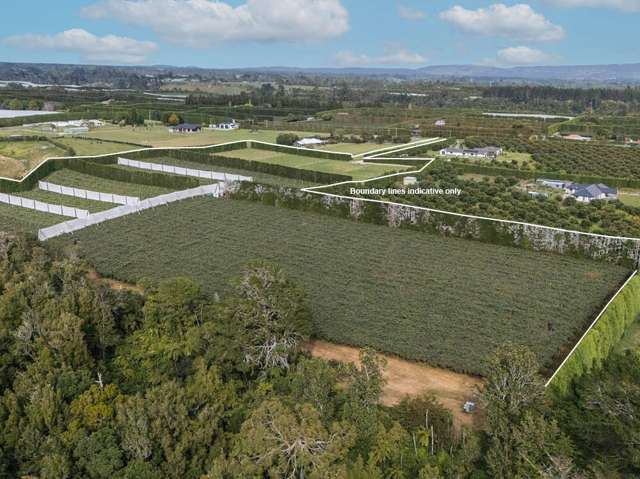 Gold and Green Kiwifruit, Prime Flat Land and Bush