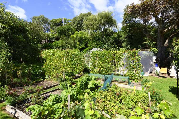 157 Moana Avenue Moana_25