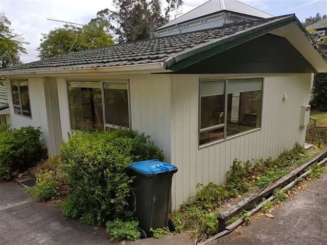 29a Francis Street Grey Lynn_1