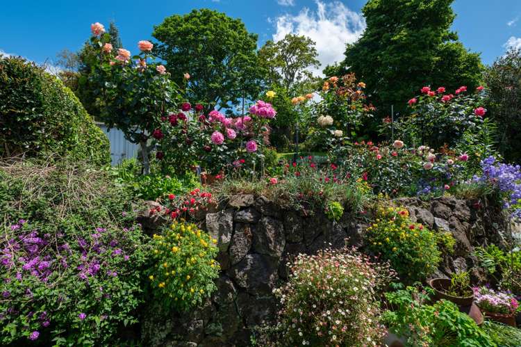 6 Gillam Crescent Springfield_29