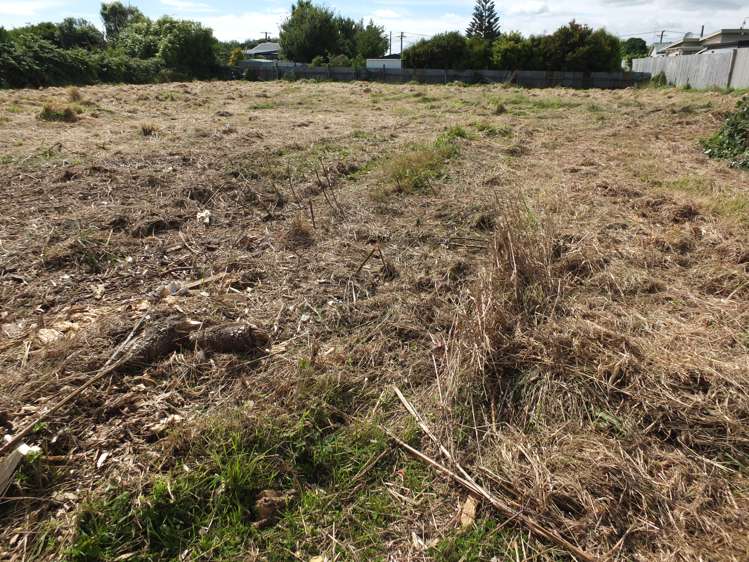 13a Gladstone Street Foxton_5