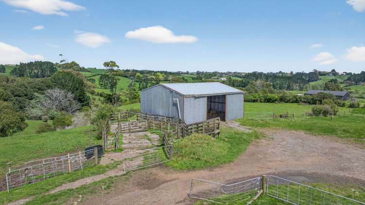 293 Ostrich Road Patumahoe_9