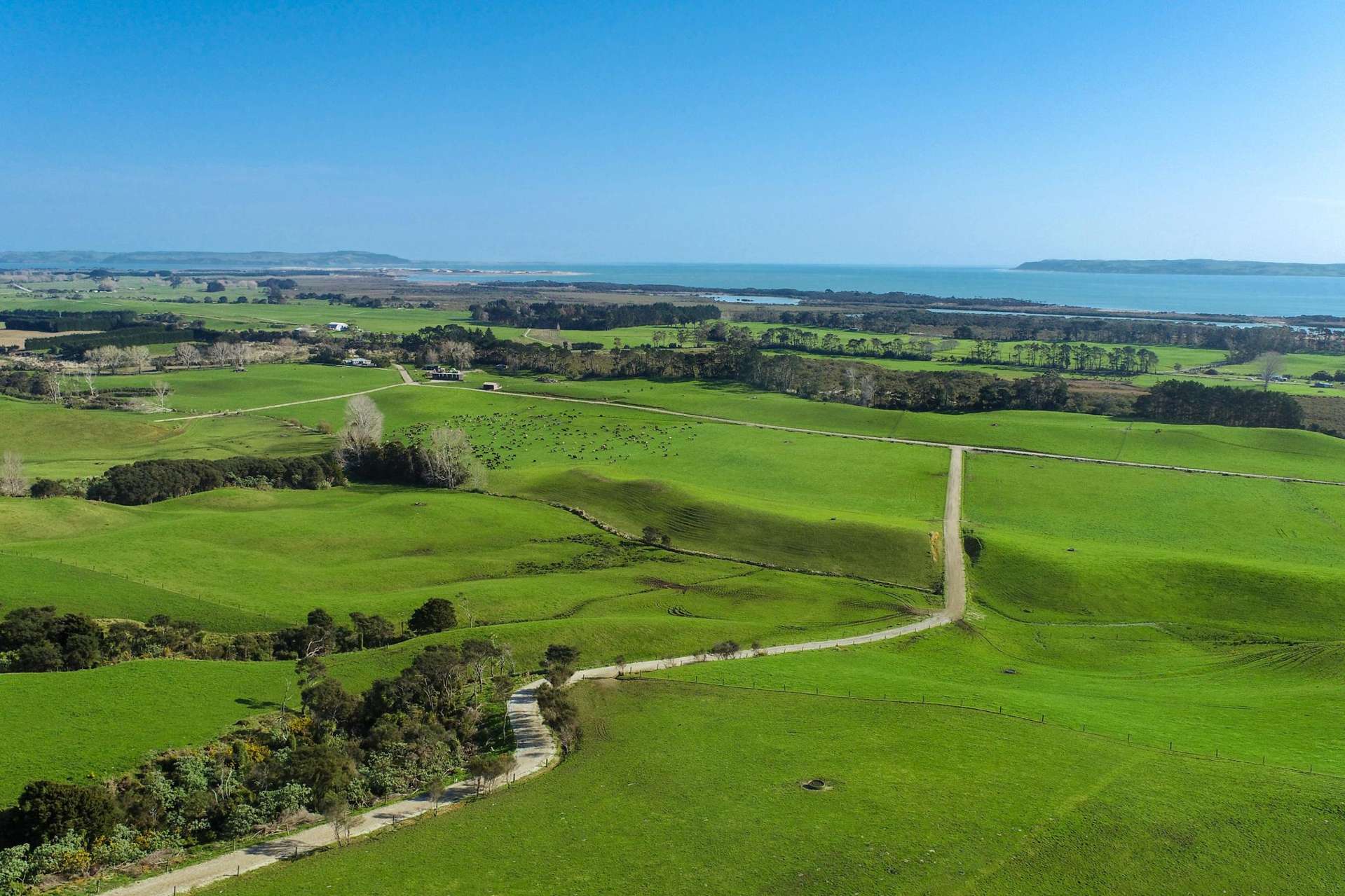 392 and 421 Journeys End Tapora_0