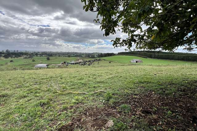 40 Budden Road Te Awamutu_4