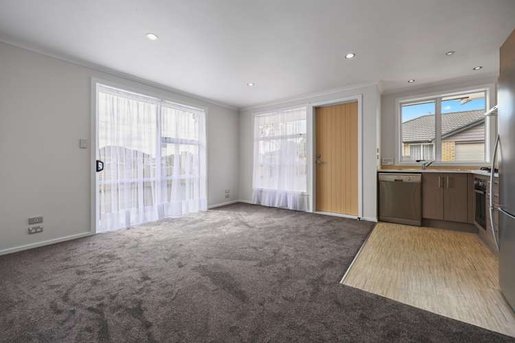 60a Campbell Street Frankton_7