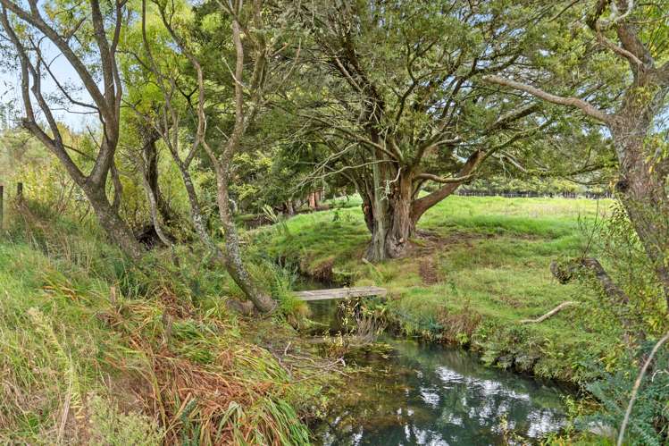 6 Tavinor Road Otaika Valley_36