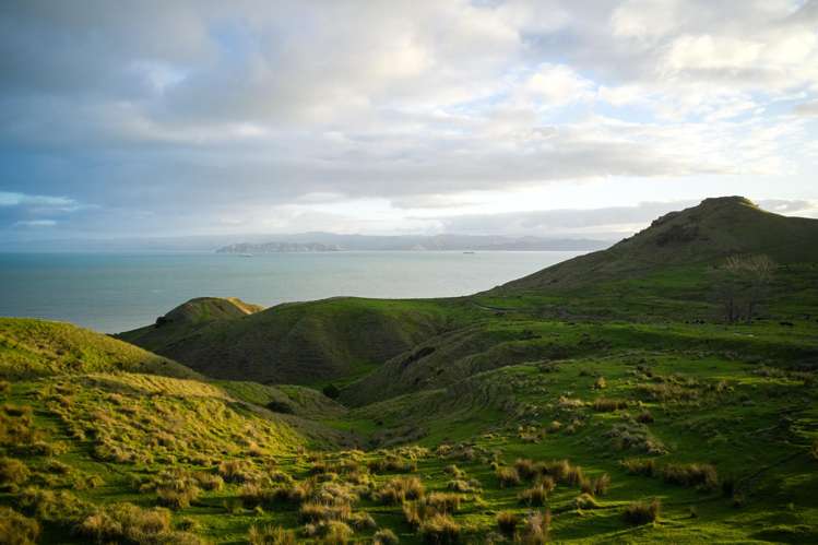 Lot 3/611 Wainui Road Wainui_25