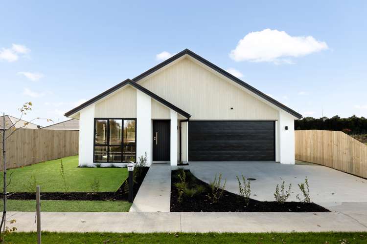 13 One Haruru Street Cambridge_21