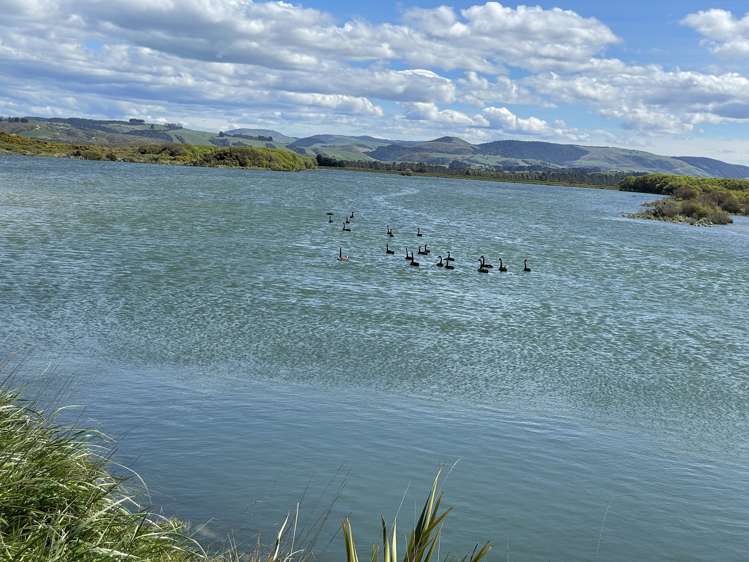 799 Kaka Point Road Balclutha_15