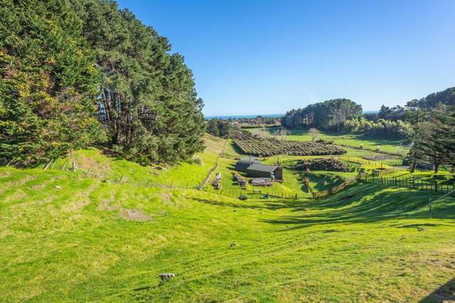 85-91 Old Coach Road Otaki_4