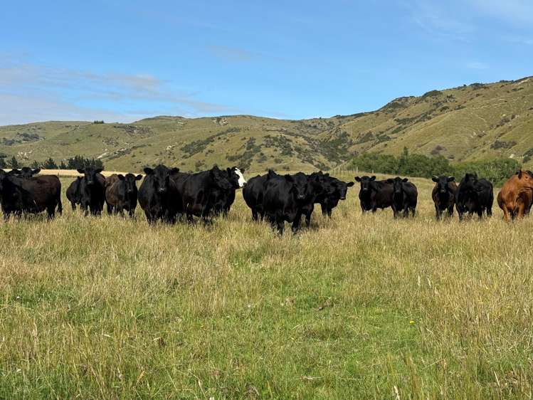 67 Macraes Road Dunback_30