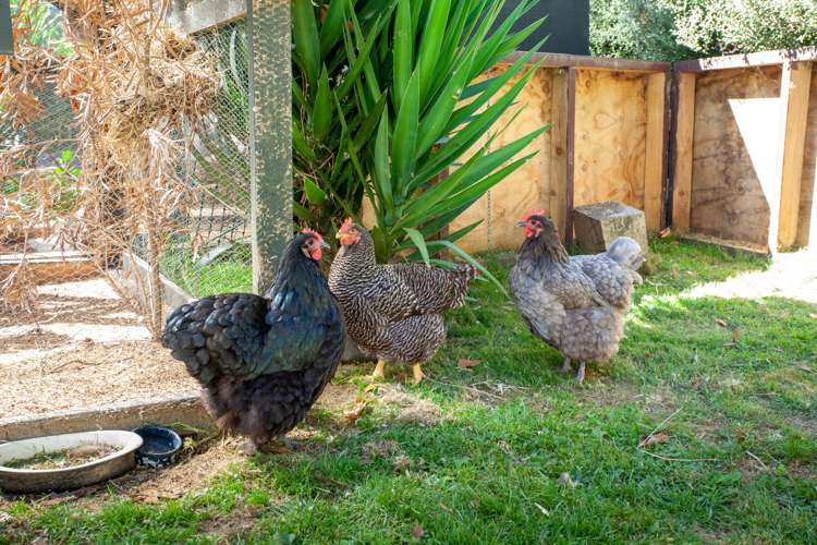 103 Taotaoroa Road Karapiro_19