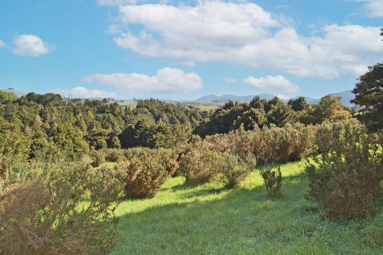 36 Tawa Avenue Kaiwaka_14