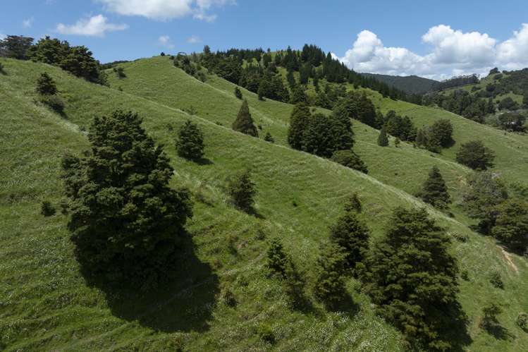 791 Fairburn Road Kaitaia Surrounds_13