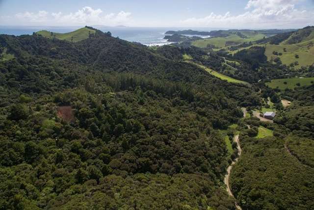 1482 Matapouri Road Matapouri_2