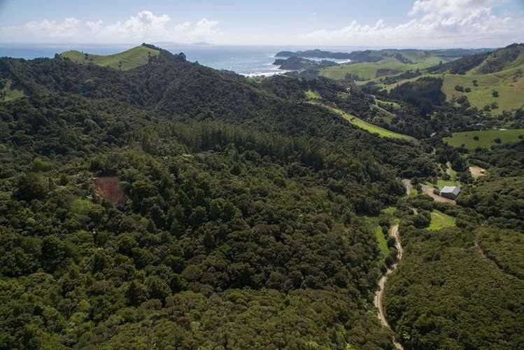 1482 Matapouri Road Matapouri_2