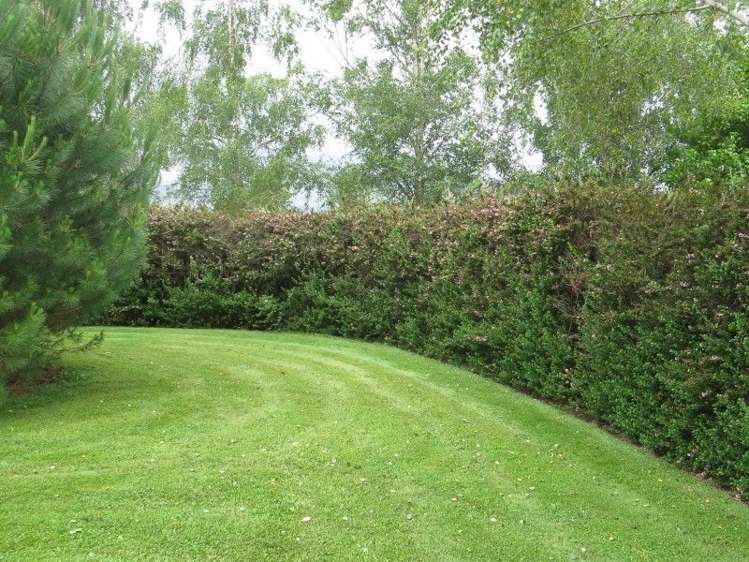 111 Tarr Road Ohaupo_38