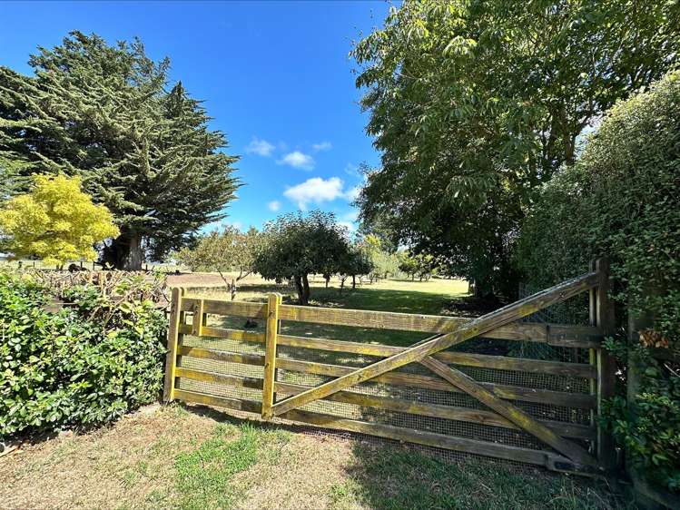 311 Hollands Road Darfield_17