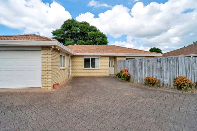 29a Riversdale Road Avondale_19