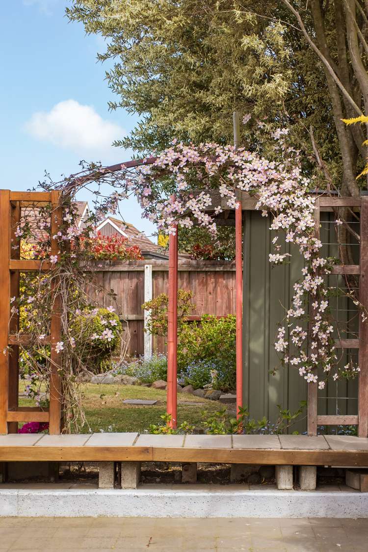 3a Mclellan Place Ilam_30