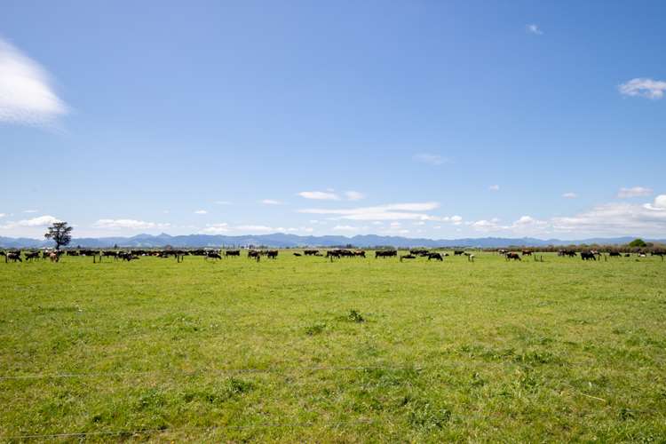 104 Pipiroa Road Ngatea_19