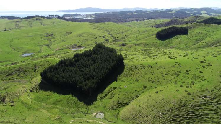 211 Parapara Road Taipa_6