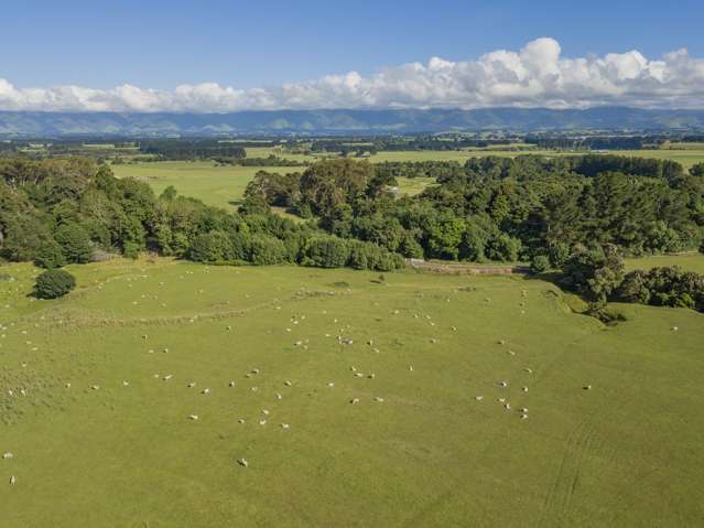 235 Otope Road Dannevirke_2