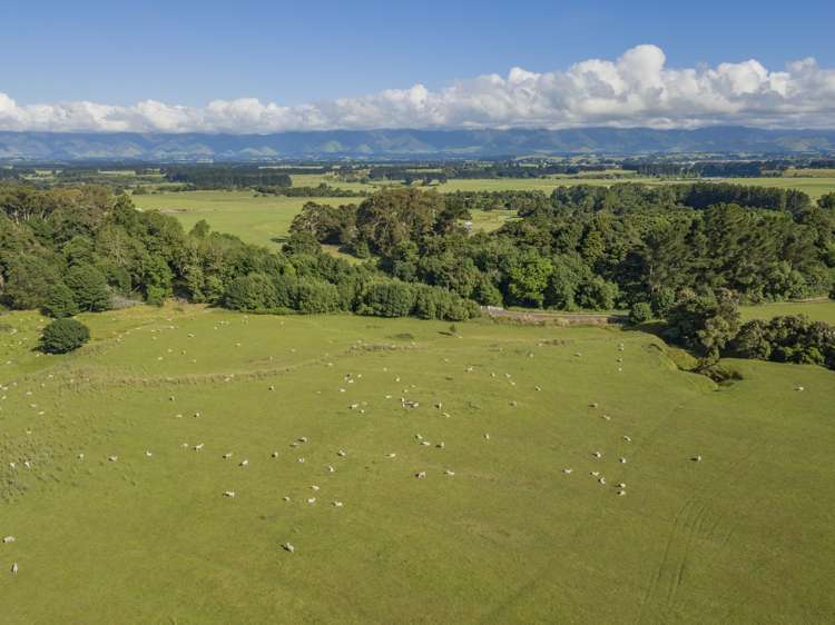 235 Otope Road Dannevirke_2
