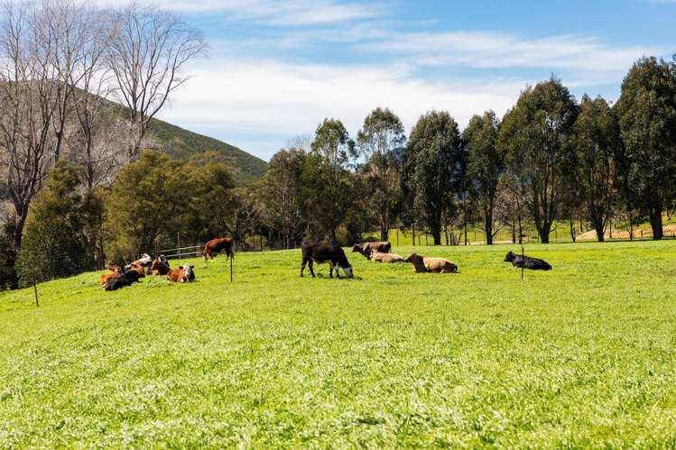 5788 State Highway 6 Pelorus Bridge_32