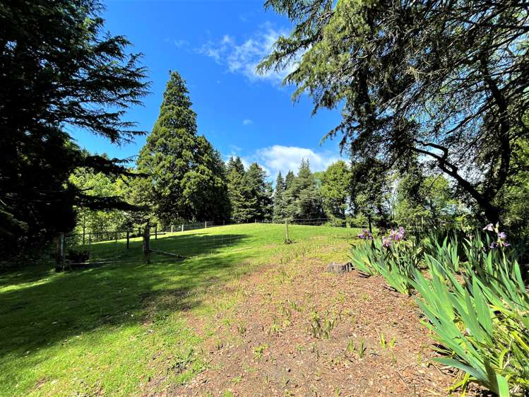 1097 Milton Highway Milton_22