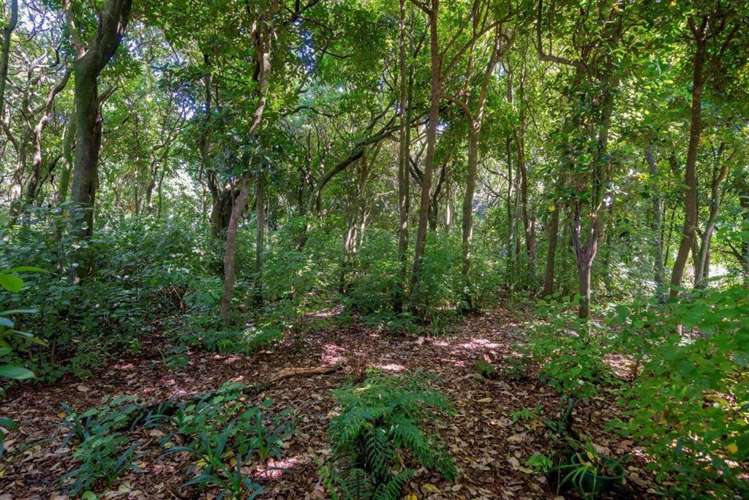 8 Kilsby Place Levin_7