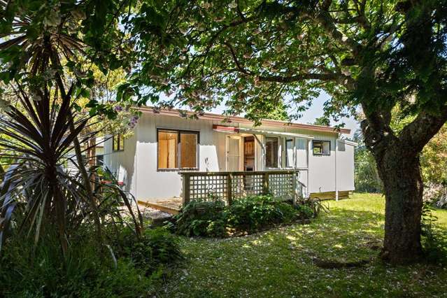 46 Victoria Street Waihi_4