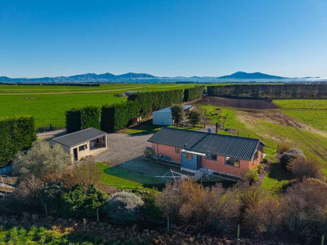 Cracking Productive Farmlet With Two Titles - 14ha
