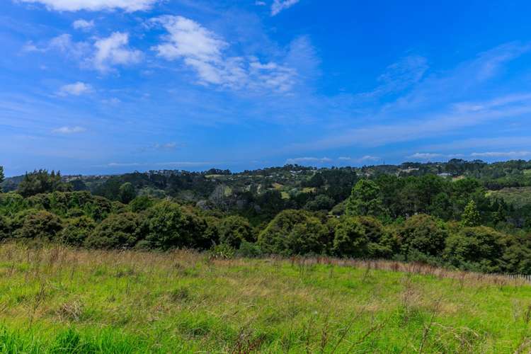 249a Wright Road Dairy Flat_10