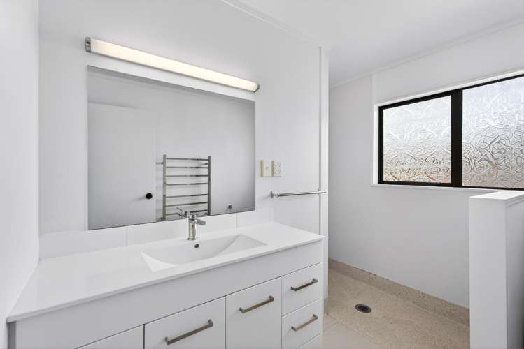 234 Te Awa Avenue Awatoto_14