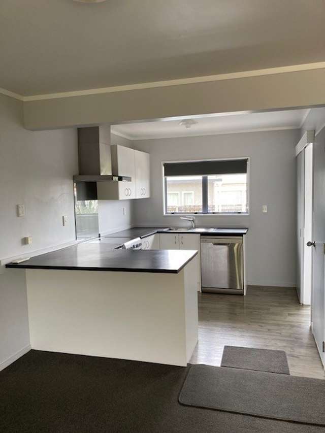B/43 Fifth Avenue Hamilton_1