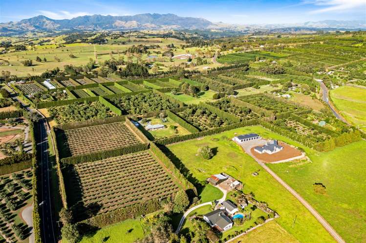 42 Snooks Road Maungatapere_22