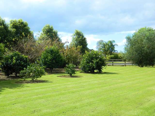 10 Awhitu Road Kerikeri_3