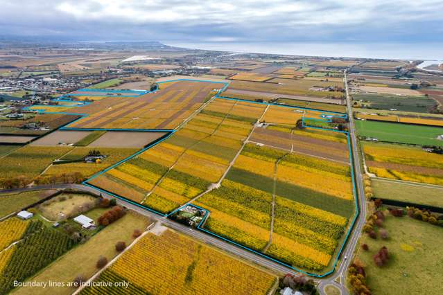 Apple orchard on offer in Hawke’s Bay