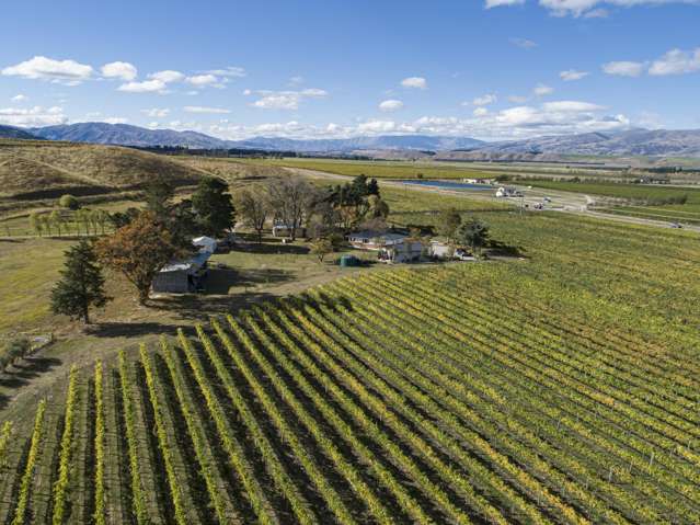 Ata Mara, 1427 Luggate-Cromwell Road and 67G Rush Lane Mount Pisa_3