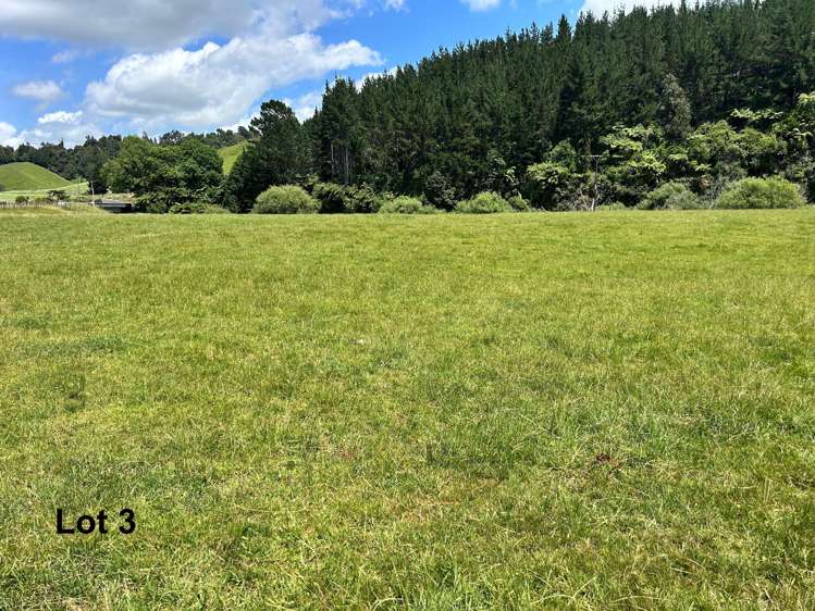 Near 1757 Tarata Road Tarata_19