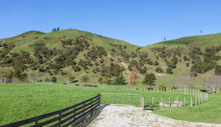 385 Wentworth Valley Road Whangamata_19