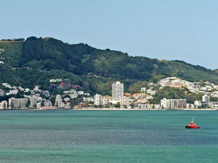 9 Sovereign Point Kaiwharawhara_16