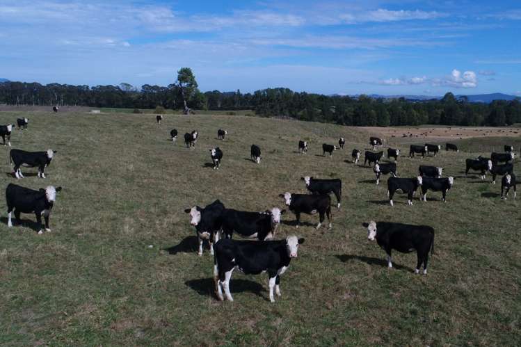 776 Kakahu Road Tapapa_17