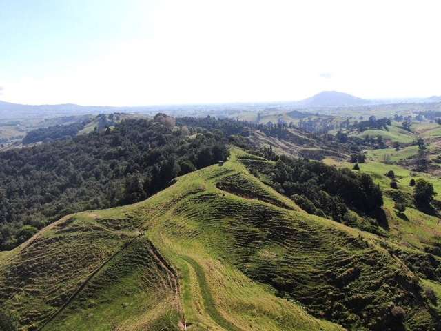 First Farm Drystock Option