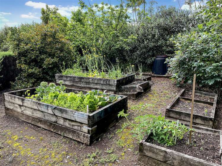 12 Kilountain Place Kerikeri_13