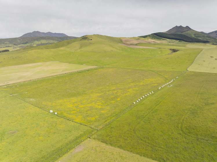 304 Acton Downs Road Acton_28