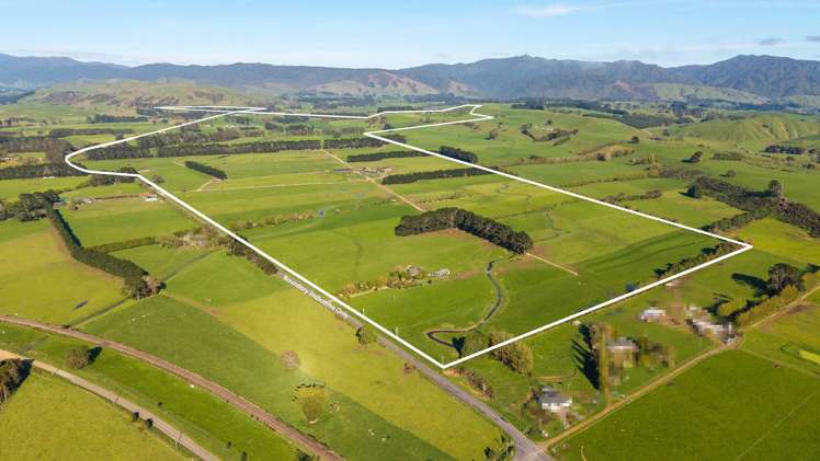 886 Kakariki Road Eketahuna_15